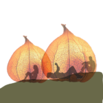 Pavillons designed to function in winter, providing shelter from the cold