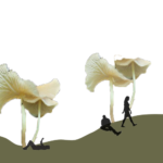 Shade structures that unfold in warm seasons and retract when the weather turns cold