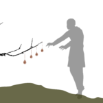 Biodegradable, detachable pipettes attached to branches for harvesting honey
