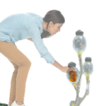 Storage capsules for nuts and cheeses