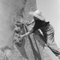 058e6d5f4ebfde0741ba1f9793ee33c4 058e6d5f4ebfde0741ba1f9793ee33c4