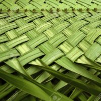 Interlocking palm leaves for the construction of a palm roof. Interlocking palm leaves for the construction of a palm roof. Tropical style, natural green pattern