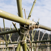 Screenshot 2024-01-24 at 21.24.06 Screenshot 2024-01-24 at 21.24.06